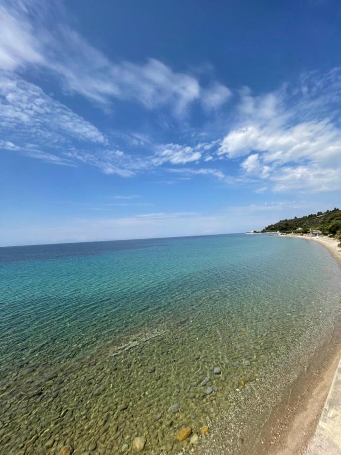 Апартаменты Zoel'S House In Chalkidiki Агия-Параскеви Экстерьер фото